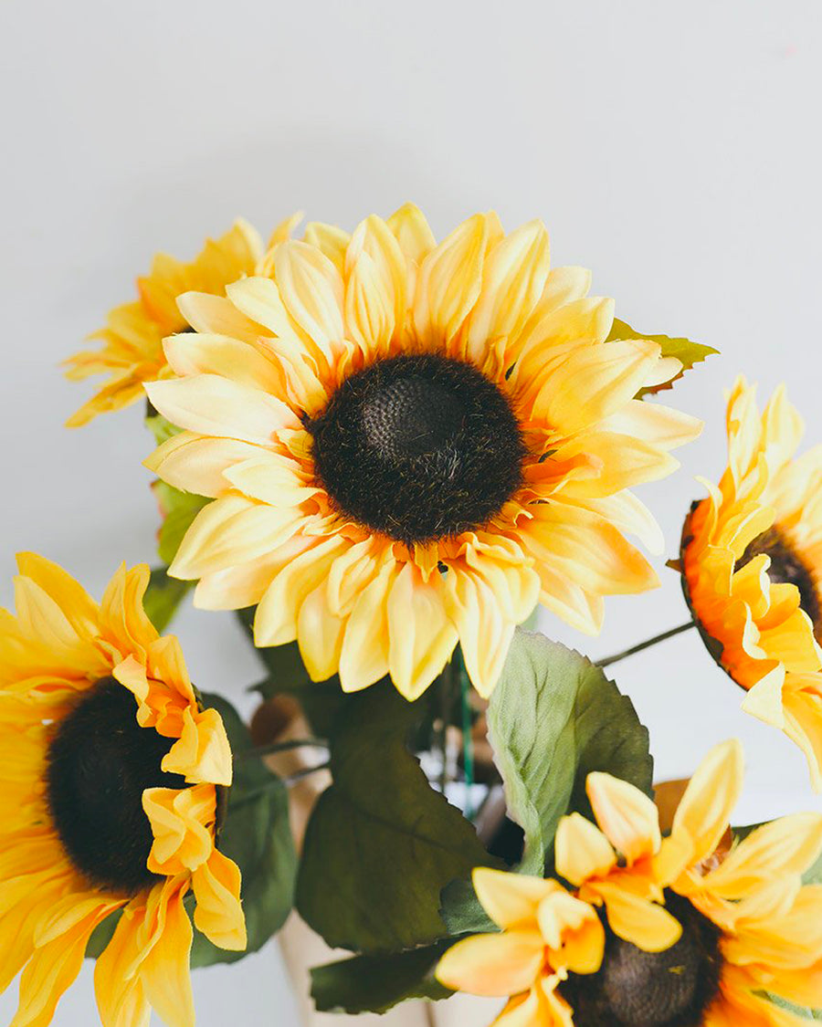 Sunflower (Add-On)